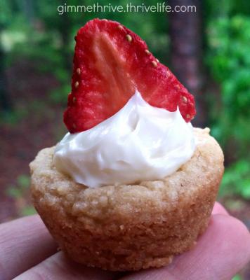 "Gimme Thrive" Cheesecake Bites