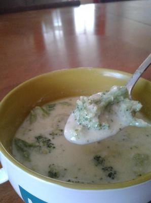 Broccoli Cheese Soup - Carb Friendly