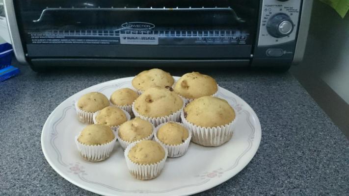 Squashed Banana-Cranberry Muffins