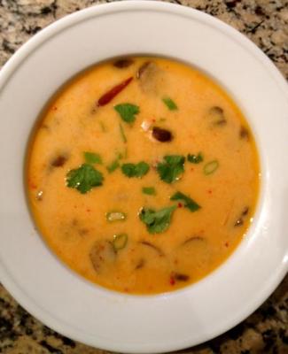 Thai Coconut Chicken Soup